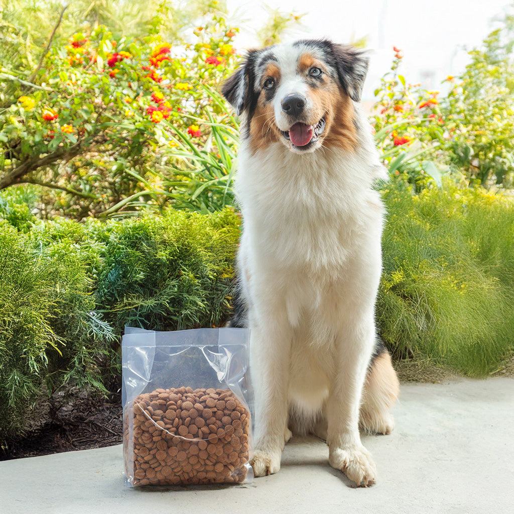 Bolsas para Comida de Mascotas