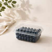 Estuche CLAMSHELL Fruver 250 G