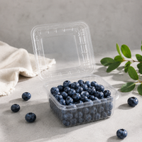 Estuche CLAMSHELL Fruver 500 G